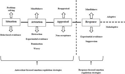 Emotion Regulation, Physical Diseases, and Borderline Personality Disorders: Conceptual and Clinical Considerations